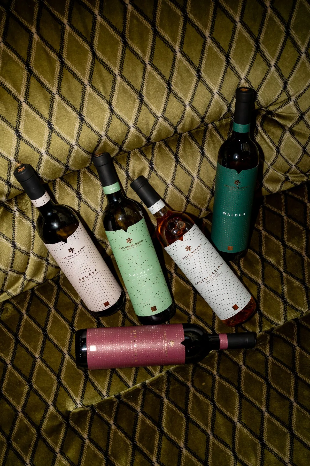 Gourmet wine tasting event